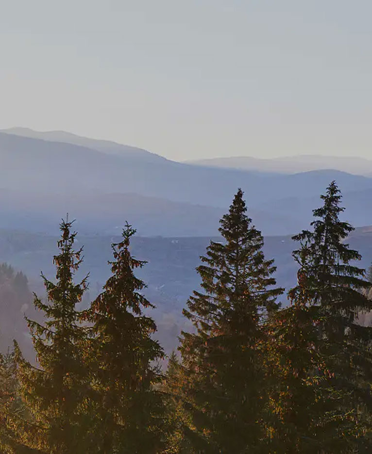 Skinndesign melaminplate